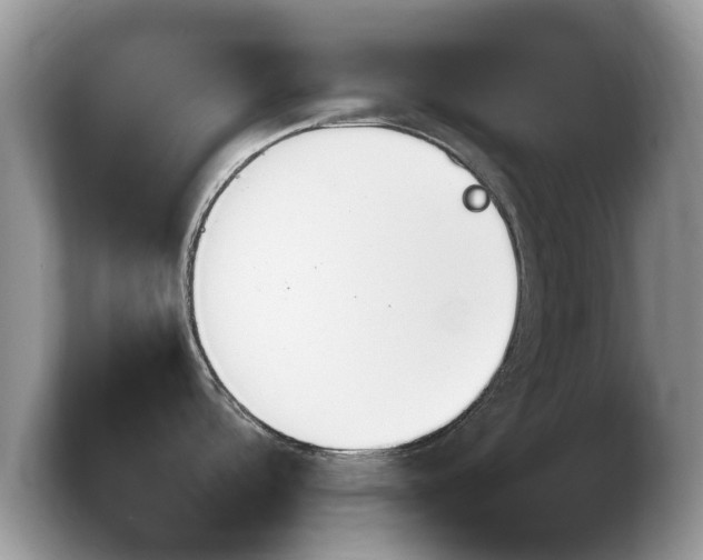 X0000103901488200809261539