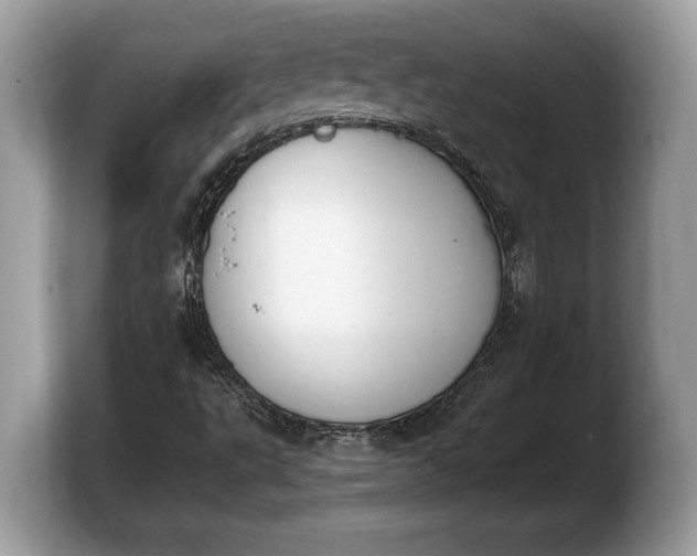 X0000103901495200809261539