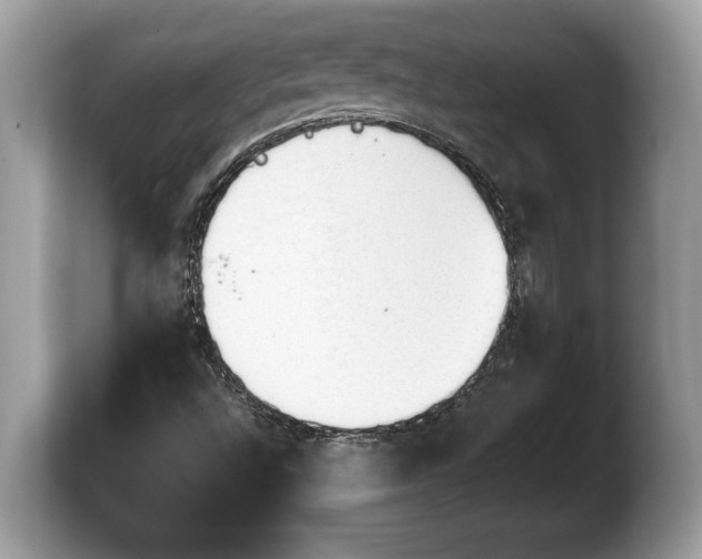 X0000103901496200809261539