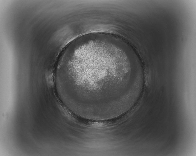 X0000103901497200809261539