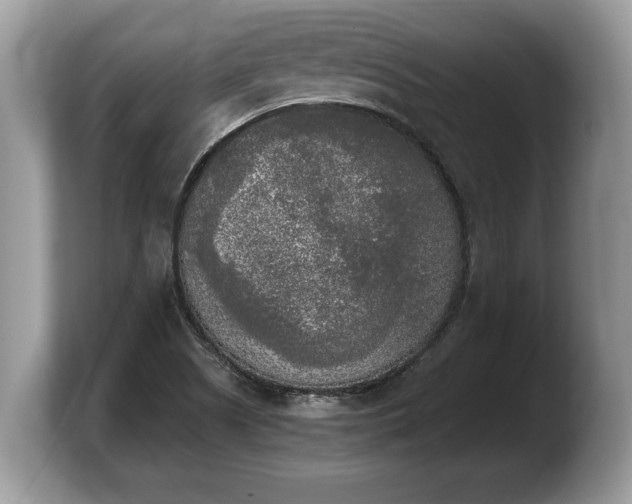 X0000103901505200809261539