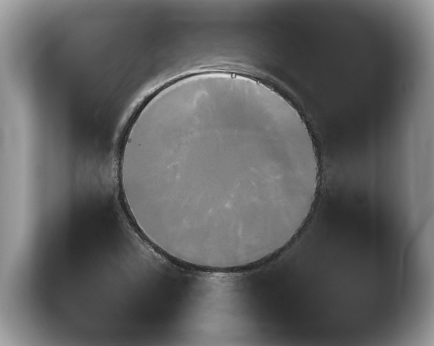 X0000103901506200809261539