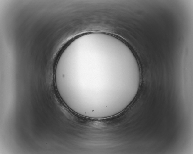 X0000103901507200809261539