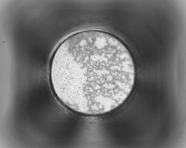 X0000103901508200809261539