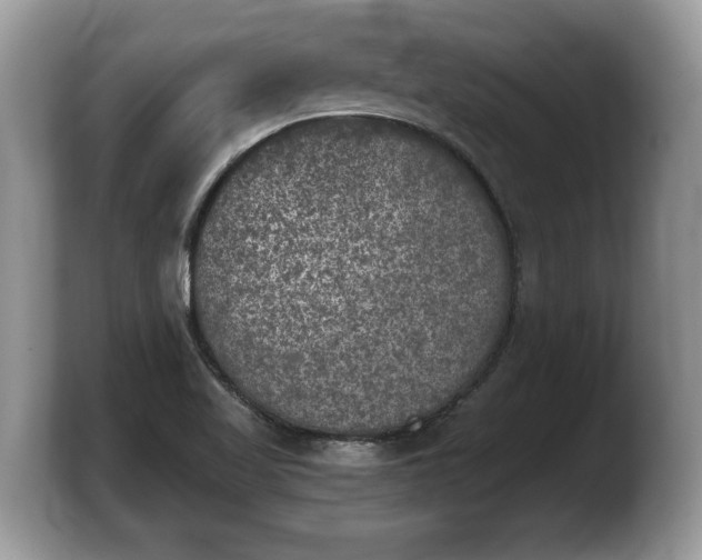 X0000103901509200809261539