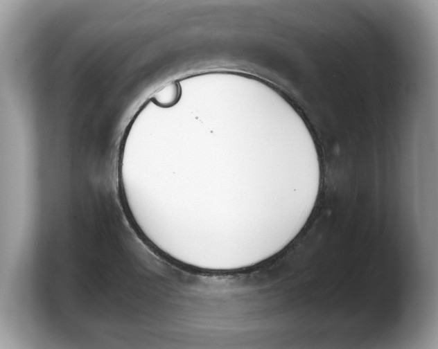 X0000103901512200809261539