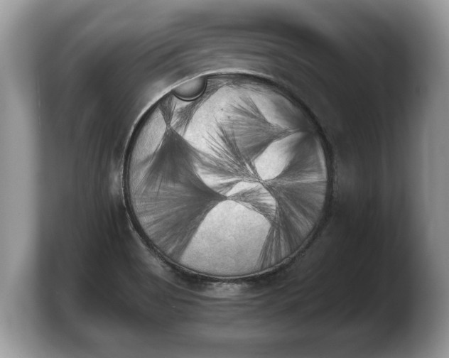 X0000103901513200809261539
