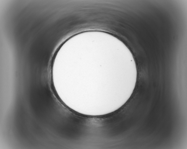 X0000103901514200809261539