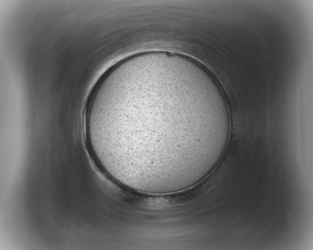 X0000103901515200809261539