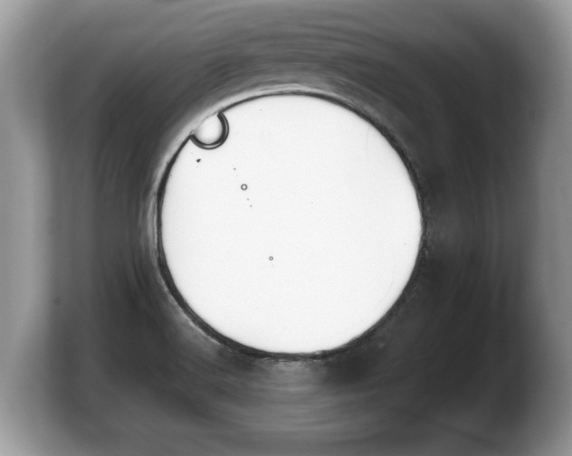 X0000103901516200809261539
