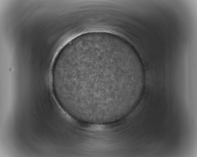 X0000103901517200809261539