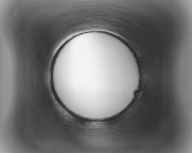 X0000103901518200809261539