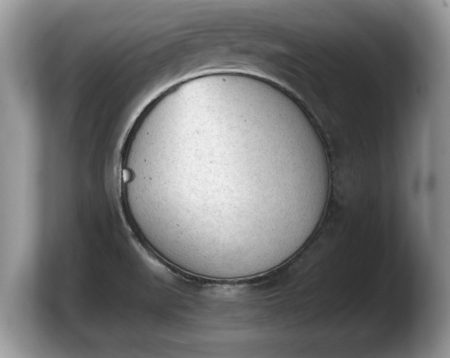 X0000103901519200809261539
