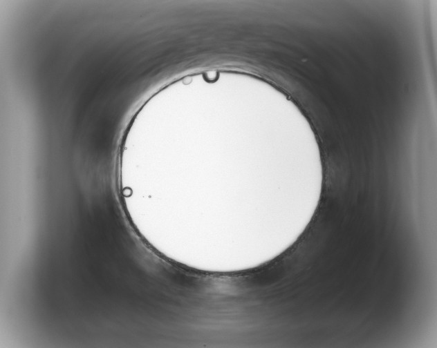 X0000103901520200809261539