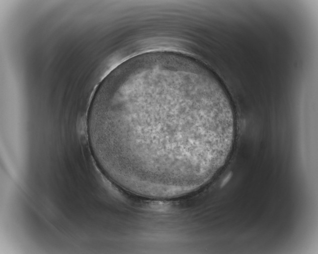 X0000103901521200809261539