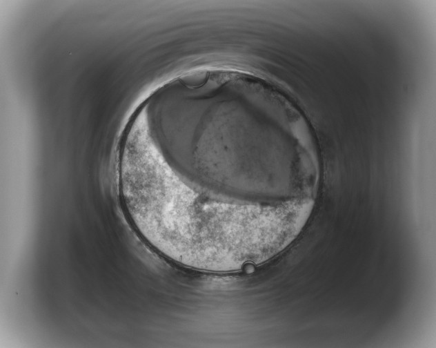 X0000103901522200809261539
