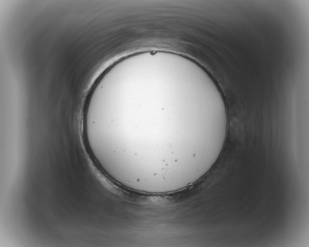 X0000103901523200809261539