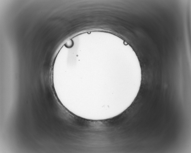 X0000103901524200809261539