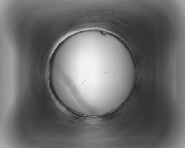 X0000103901526200809261539