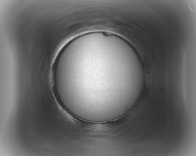 X0000103901527200809261539