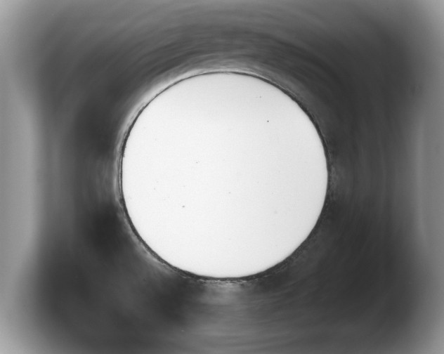 X0000103901528200809261539