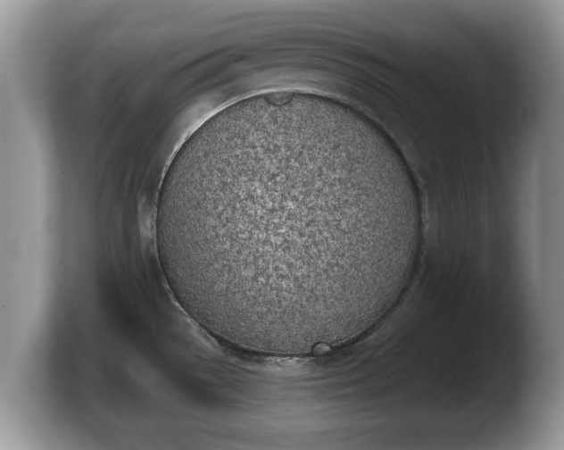 X0000103901529200809261539