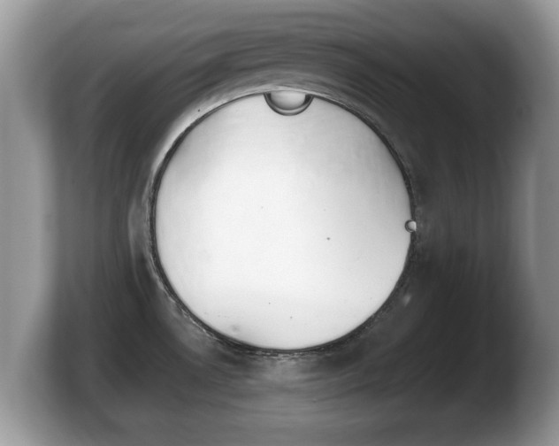 X0000103901530200809261539
