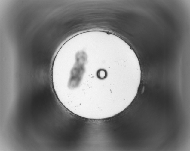 X0000103901532200809261539