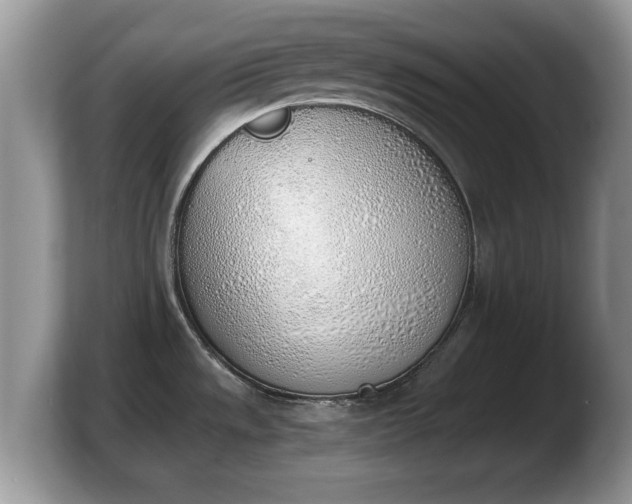X0000103901533200809261539