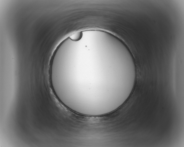 X0000103901534200809261539