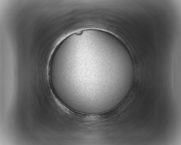 X0000103901535200809261539