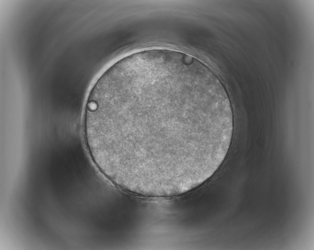 X0000103901536200809261539