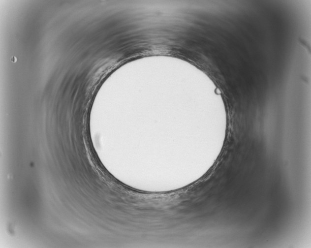 X0000103900001200810031200