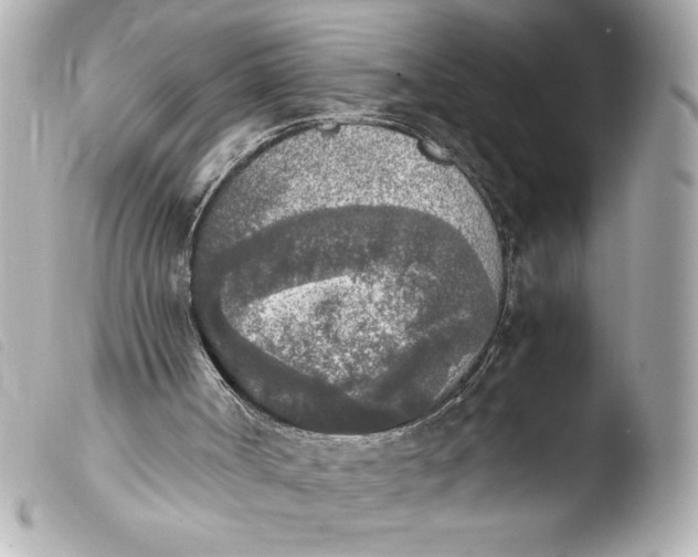 X0000103900002200810031200