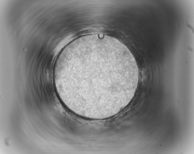 X0000103900004200810031200