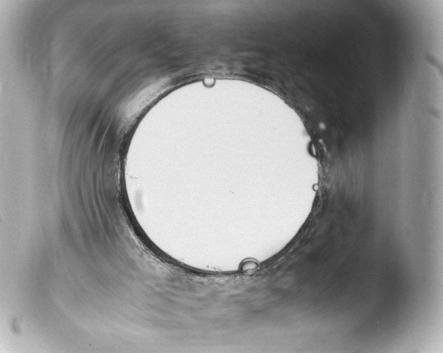 X0000103900005200810031200