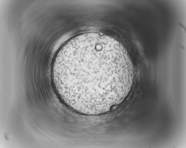 X0000103900006200810031200