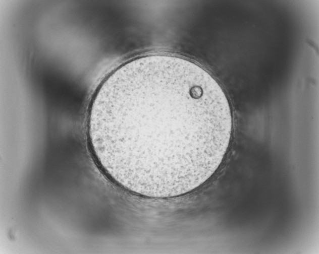 X0000103900007200810031200