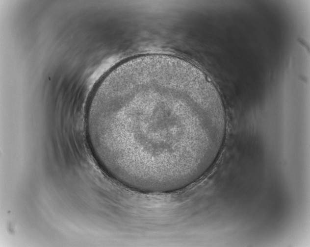 X0000103900008200810031200