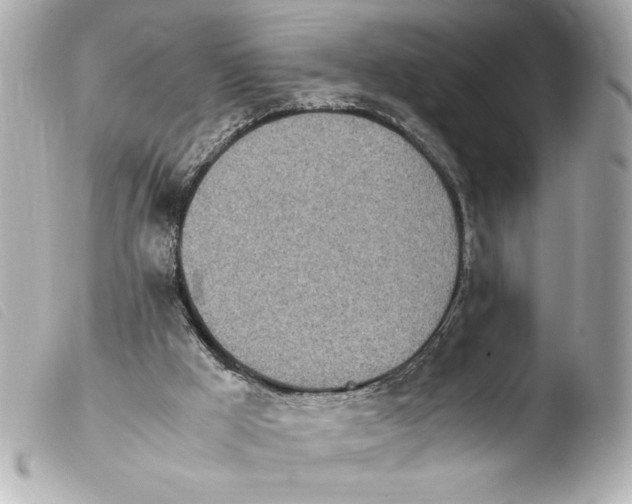 X0000103900009200810031200