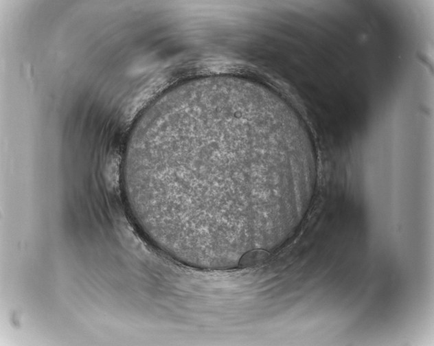 X0000103900010200810031200