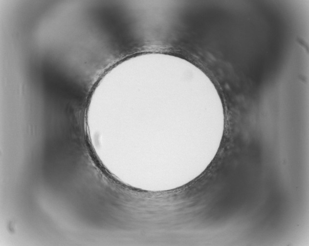 X0000103900011200810031200