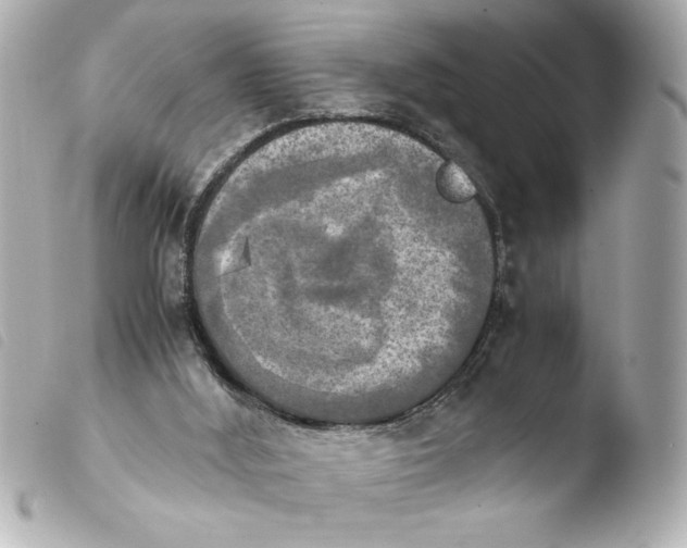 X0000103900012200810031200