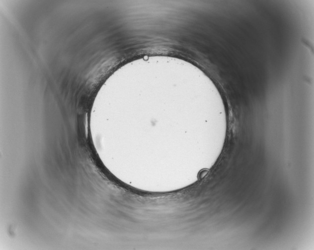 X0000103900013200810031200