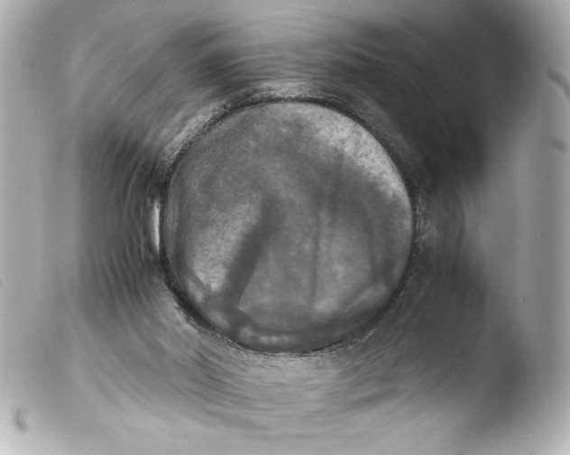 X0000103900014200810031200