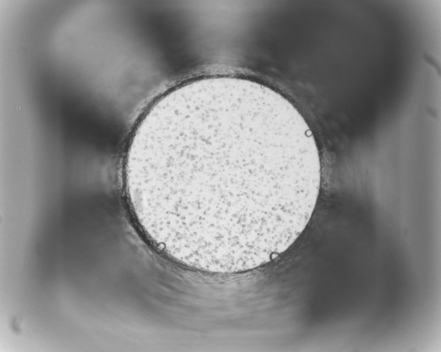 X0000103900015200810031200