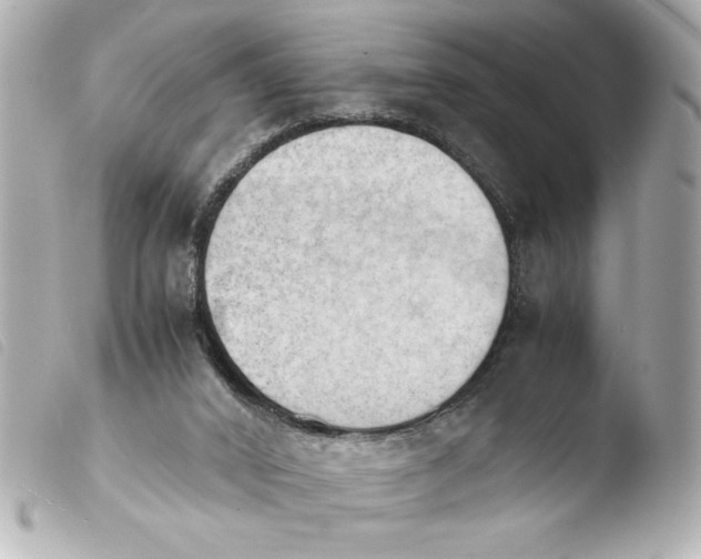 X0000103900016200810031200