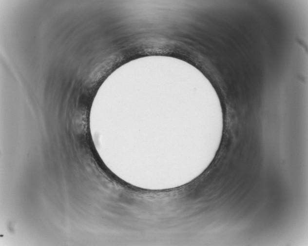 X0000103900017200810031200