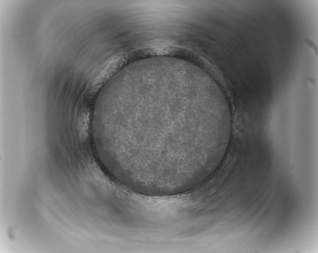 X0000103900018200810031200