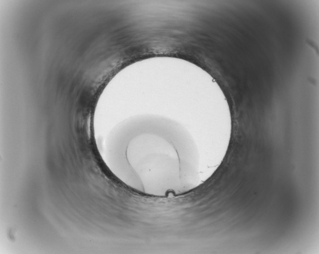 X0000103900019200810031200